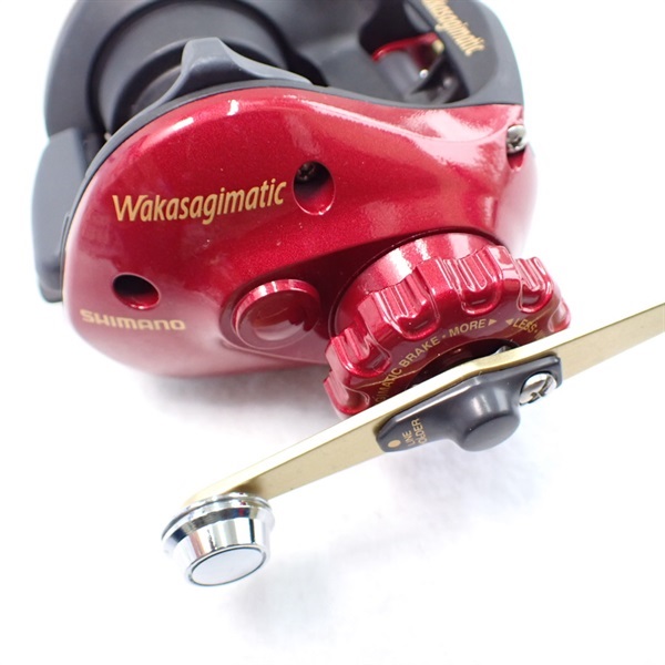 ０９ワカサギマチックＲ